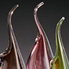 Transparent pitcher plants tmb